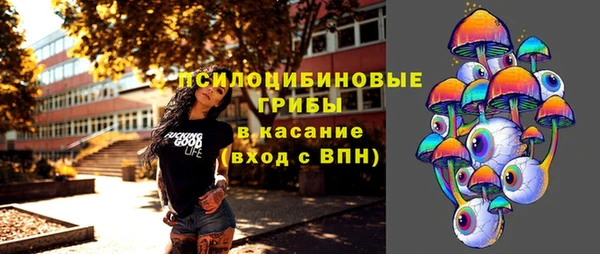 не бодяженный Алексин
