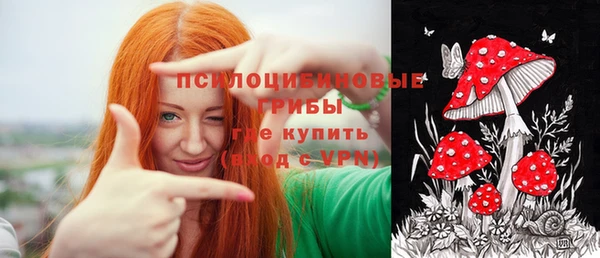 СК Алексеевка