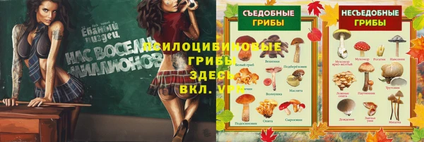 СК Алексеевка