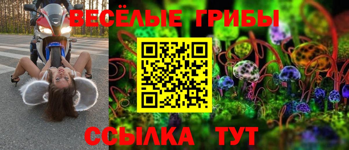 Шадринск  Галлюциногенные грибы MAGIC MUSHROOMS  Вход с VPN 