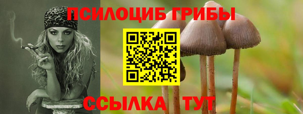 Псилоцибиновые грибы мицелий Шадринск